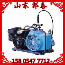 车载充气泵 行车必备神器，安全出行的得力助手